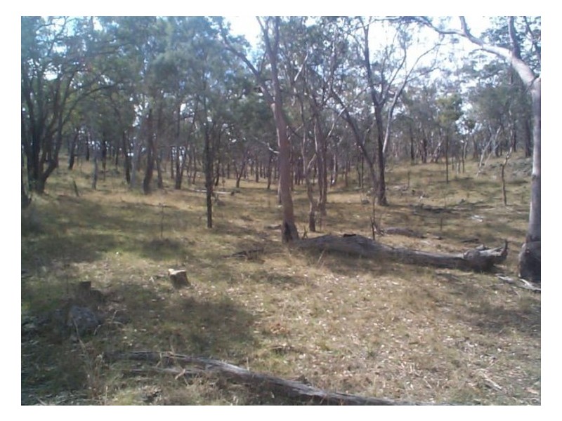 1 Rabbit Fence Road, Pozieres QLD 4352