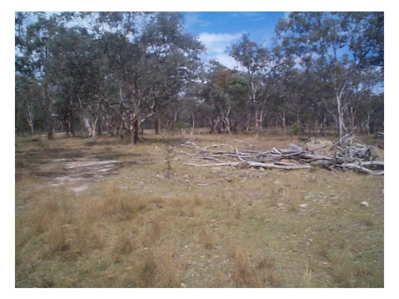 1 Rabbit Fence Road, Pozieres QLD 4352