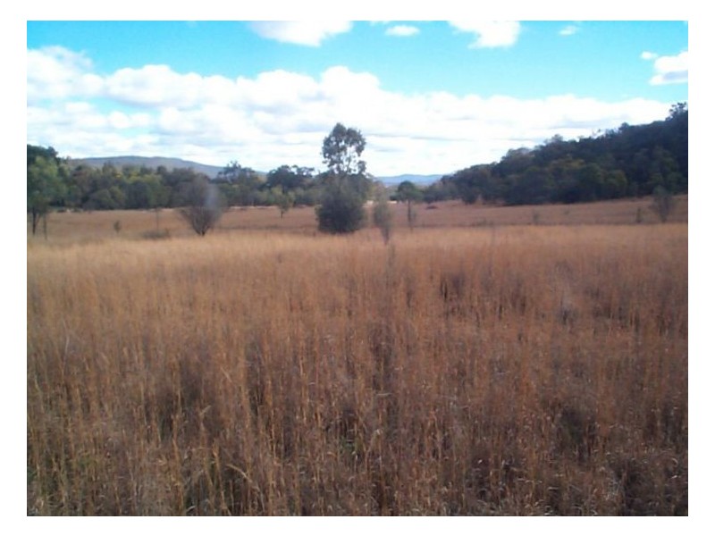 2302 Pyramids Road, Wyberba QLD 4382