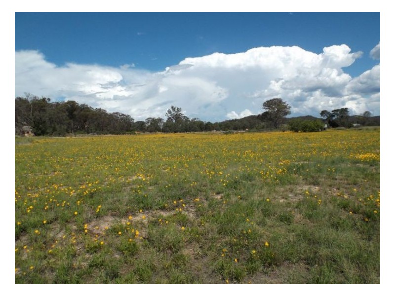 1111 Pitt Stret, Stanthorpe QLD 4380