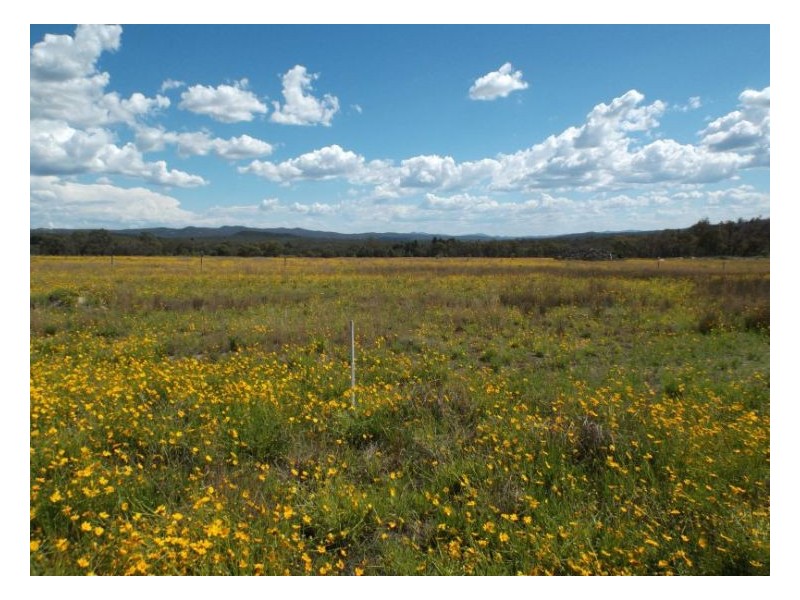 1111 Pitt Stret, Stanthorpe QLD 4380