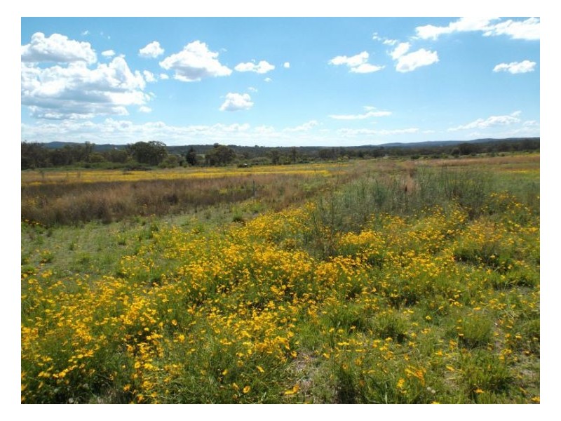 1111 Pitt Stret, Stanthorpe QLD 4380