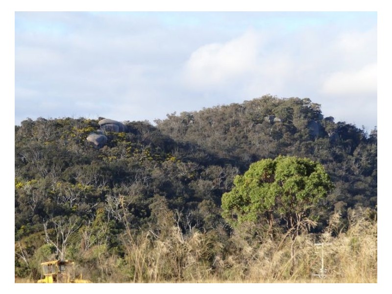 368 Townsend Road, Glen Aplin QLD 4381