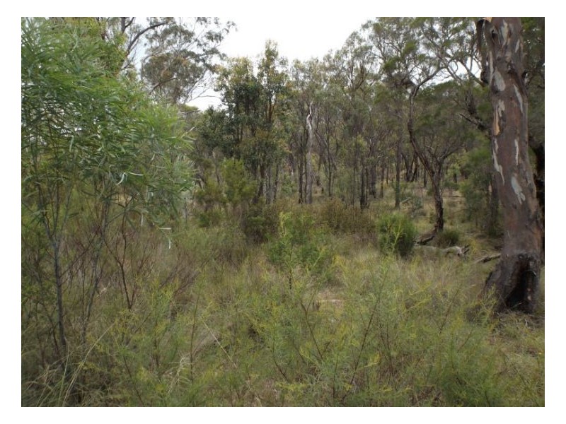 368 Townsend Road, Glen Aplin QLD 4381
