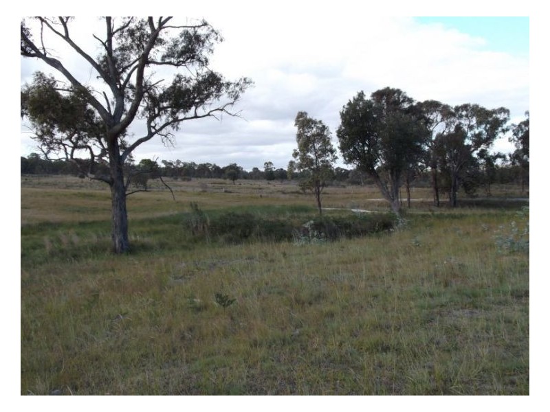 325 Eukey Road, Stanthorpe QLD 4380