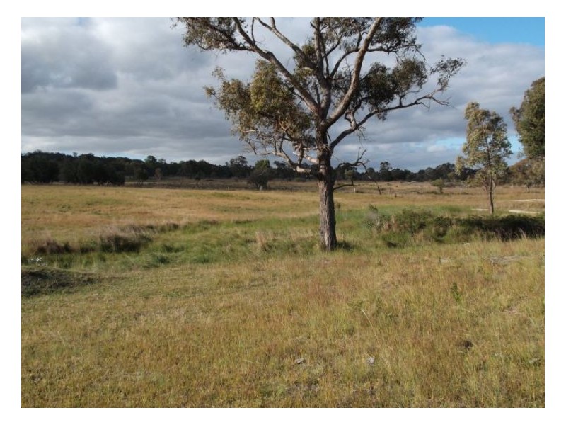 325 Eukey Road, Stanthorpe QLD 4380