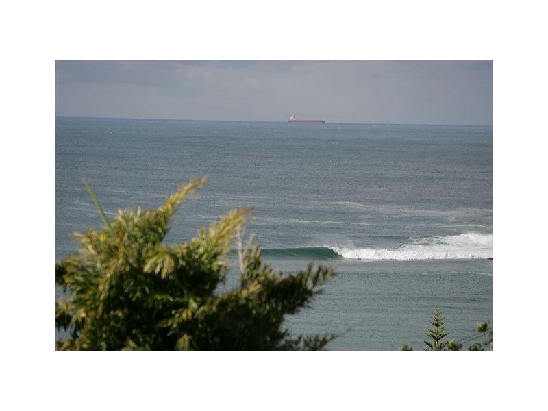 Terrigal NSW 2260