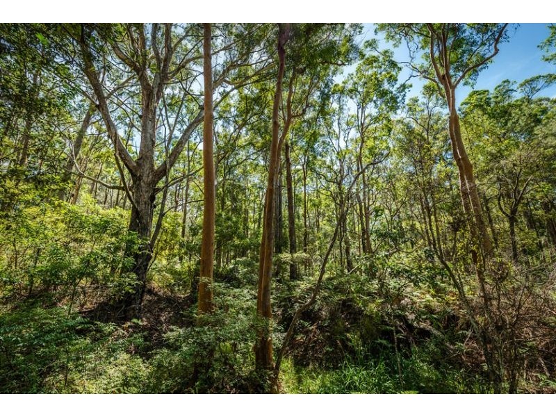 138 Schnapper Beach Road, Urunga NSW 2455