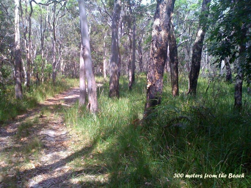 250 Hungry Head, Urunga NSW 2455