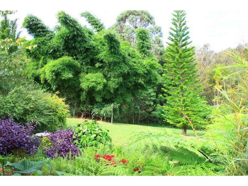 36 Gordons Road, Raleigh NSW 2454