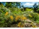 30 Elk Avenue, Repton NSW 2454