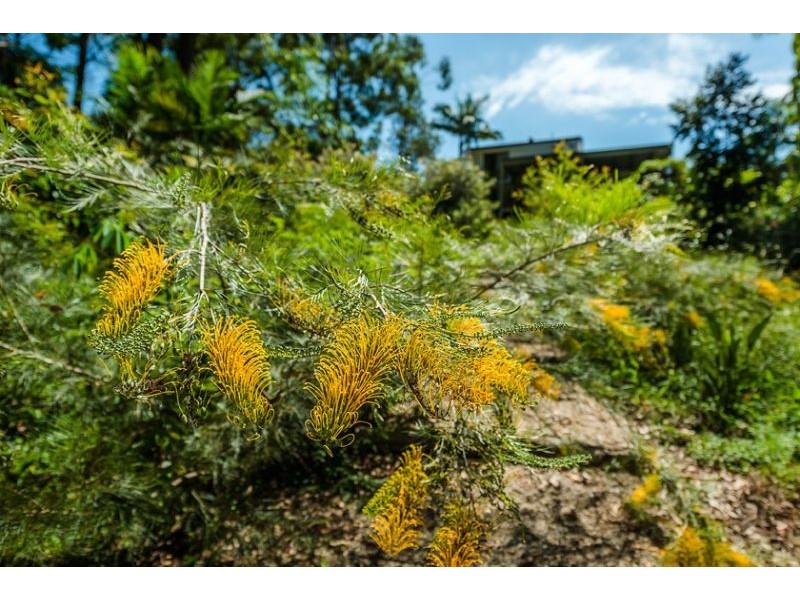 30 Elk Avenue, Repton NSW 2454