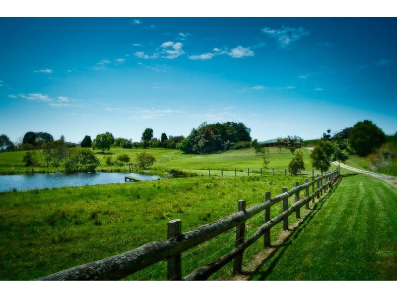 254 Waterfall Way, Raleigh NSW 2454