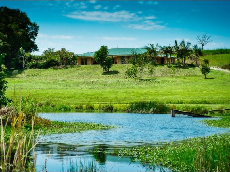 254 Waterfall Way, Raleigh NSW 2454