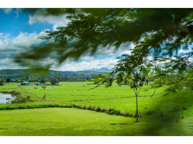 254 Waterfall Way, Raleigh NSW 2454