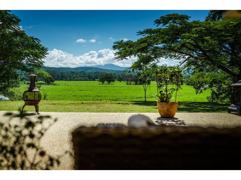 254 Waterfall Way, Raleigh NSW 2454