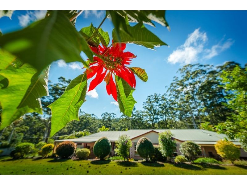 43 Old Coast Road, Repton NSW 2454