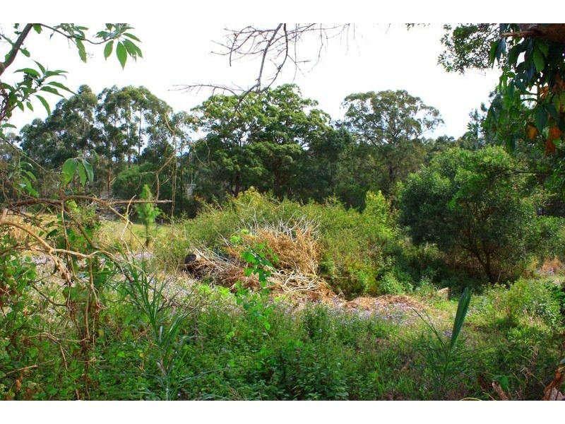 98 Old Pacific Highway, Raleigh NSW 2454