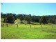 1153 South Arm Road, Bellingen NSW 2454