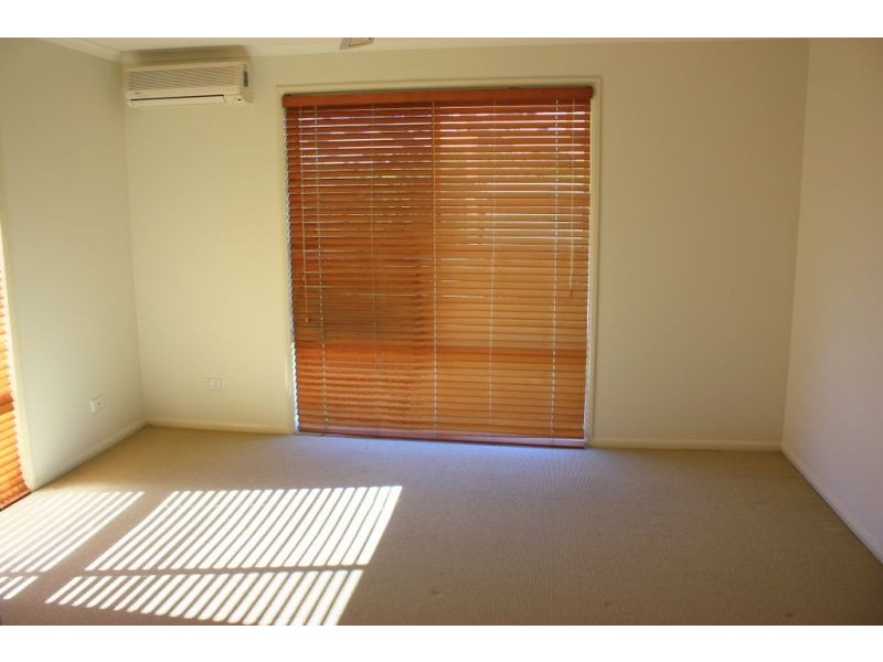 1153 South Arm Road, Bellingen NSW 2454