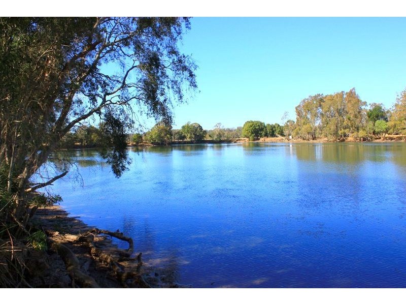 313 South Arm Road, Urunga NSW 2455