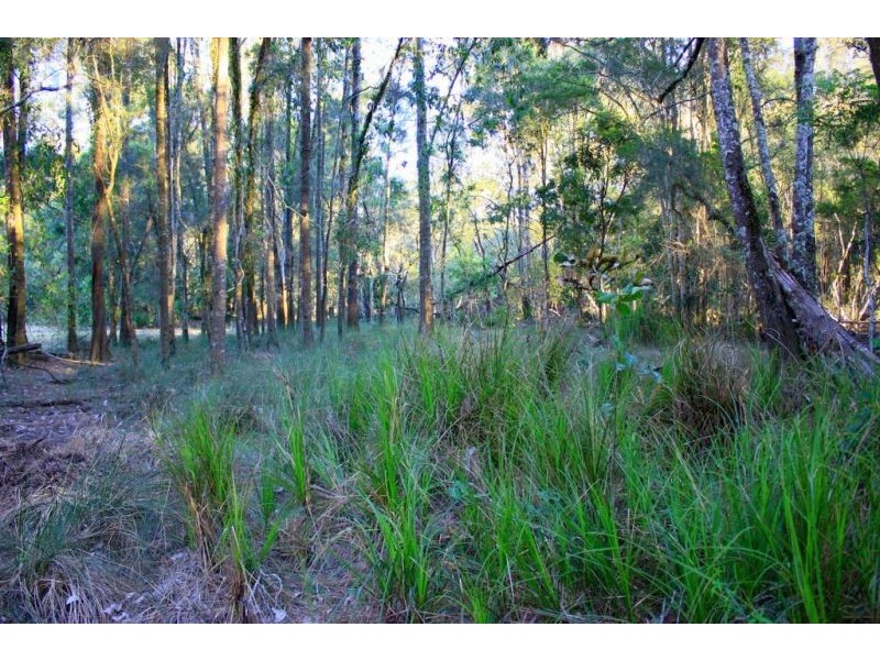 313 South Arm Road, Urunga NSW 2455