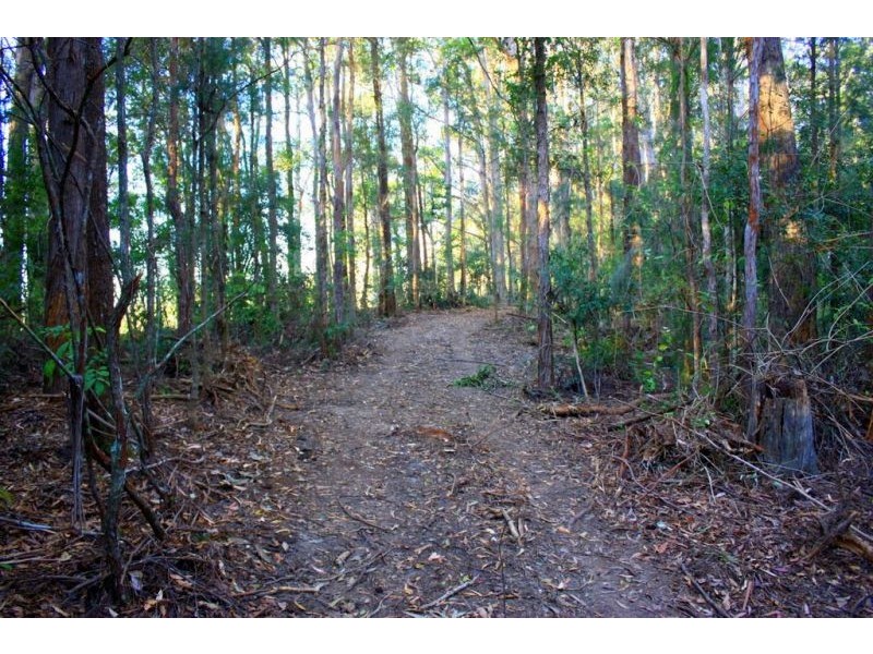 313 South Arm Road, Urunga NSW 2455