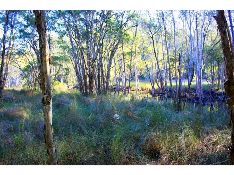 313 South Arm Road, Urunga NSW 2455