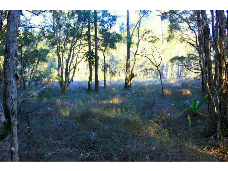 313 South Arm Road, Urunga NSW 2455