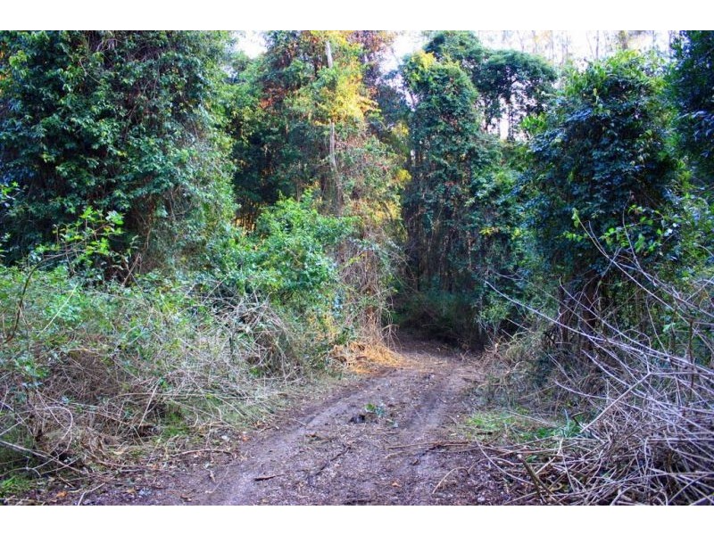 313 South Arm Road, Urunga NSW 2455