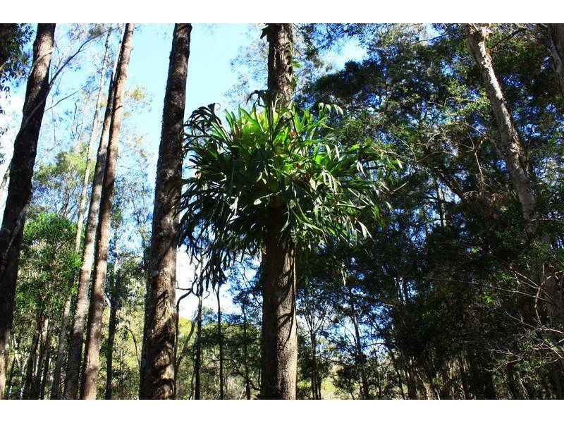 313 South Arm Road, Urunga NSW 2455