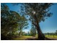 10 Riverside Drive, Urunga NSW 2455
