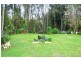17 Lake Court, Urunga NSW 2455