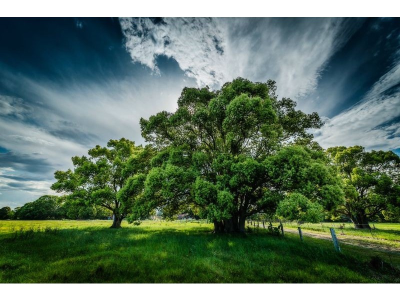 111 Old Ferry Road, Raleigh NSW 2454