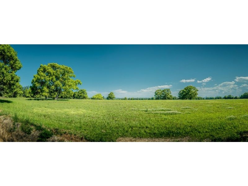 111 Old Ferry Road, Raleigh NSW 2454