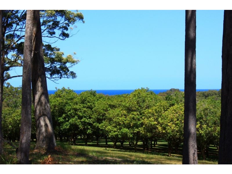 1/45 Osprey Drive, Urunga NSW 2455