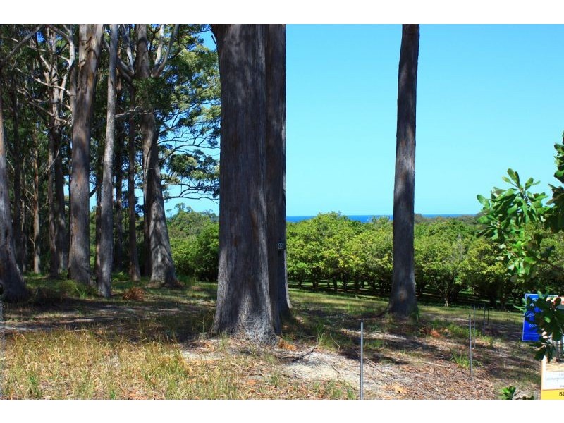 1/45 Osprey Drive, Urunga NSW 2455