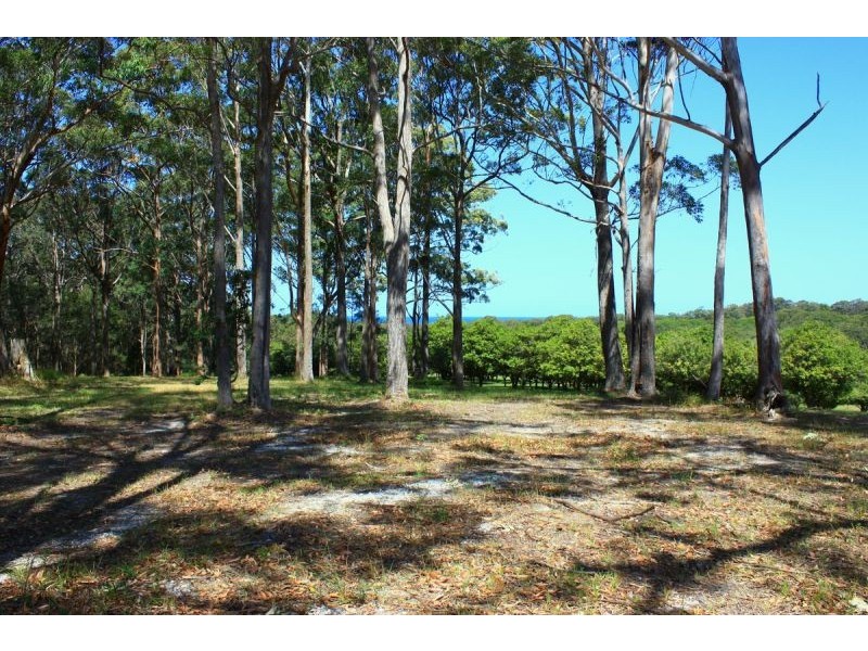 1/45 Osprey Drive, Urunga NSW 2455