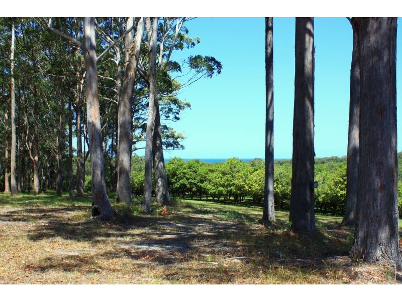 1/45 Osprey Drive, Urunga NSW 2455