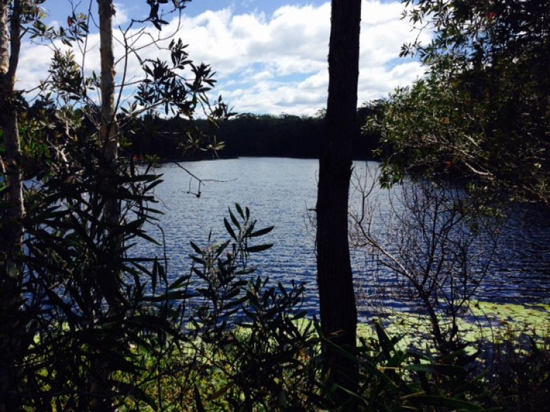 1/45 Osprey Drive, Urunga NSW 2455