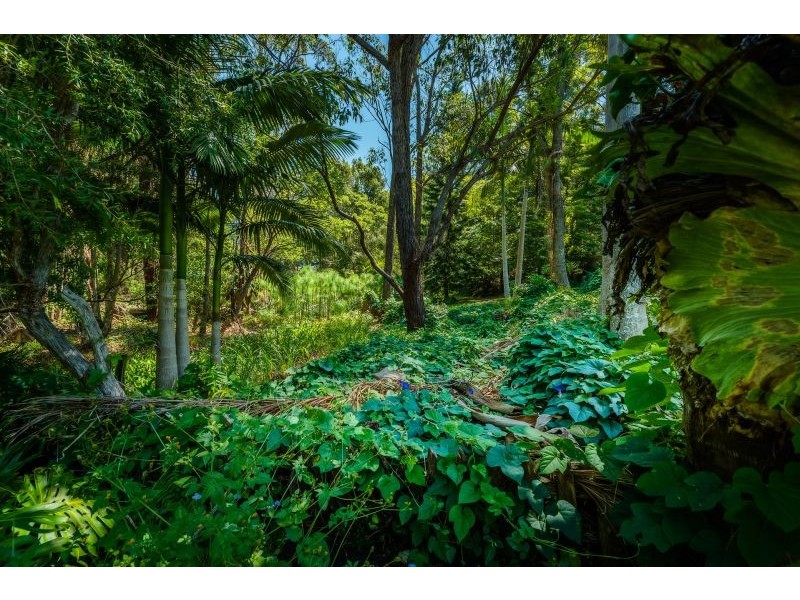 17 Repton Road, Repton NSW 2454