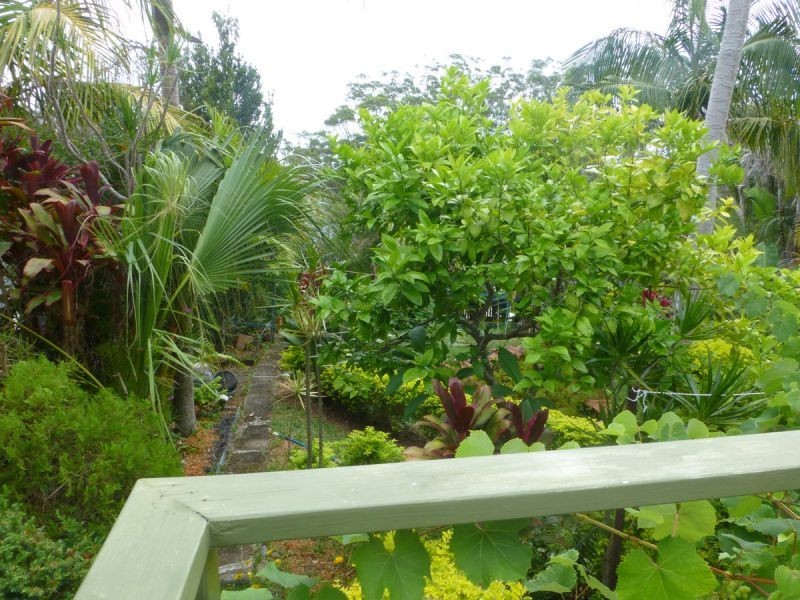 45 High Street, Urunga NSW 2455