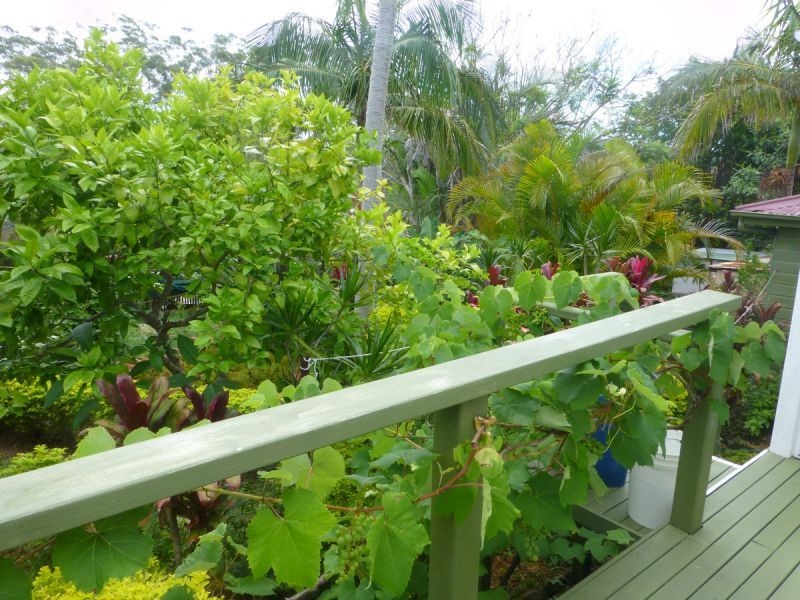 45 High Street, Urunga NSW 2455