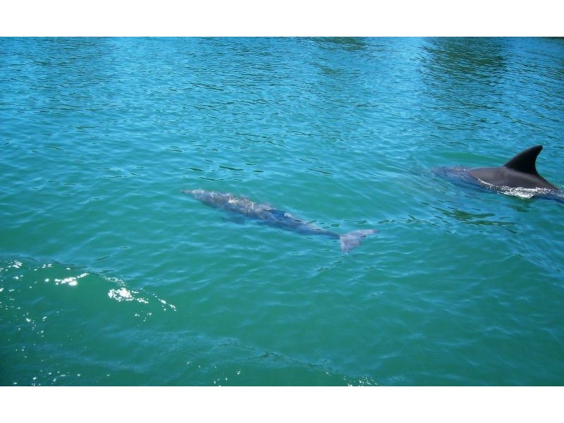 25 Burrawong Parade, Urunga NSW 2455