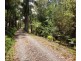 56 Forest Drive, Repton NSW 2454