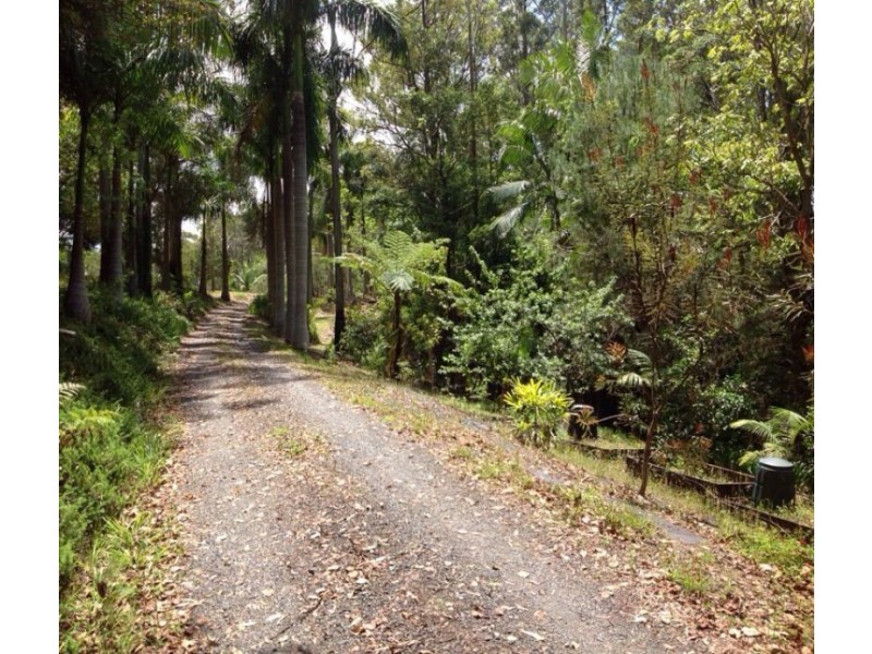 56 Forest Drive, Repton NSW 2454