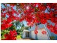 17 Repton Road, Repton NSW 2454