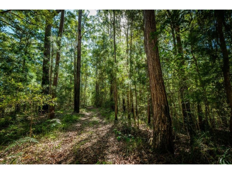 468 Sullivans Road, Valla NSW 2448