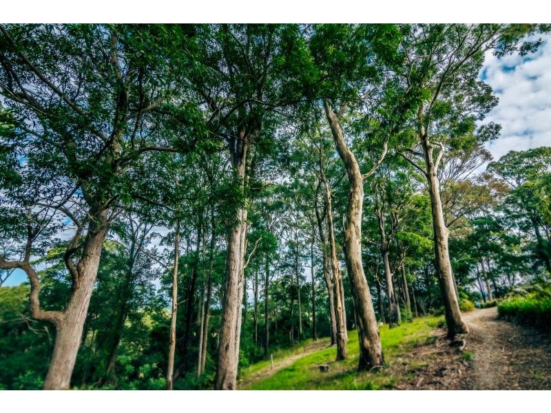 2 Colemans Road, Valla NSW 2448