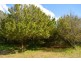 148 Osprey Drive, Urunga NSW 2455